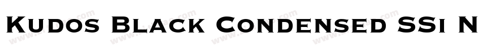 Kudos Black Condensed SSi Normal字体转换